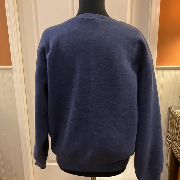 ✨Wildfox  Italian Blue Sweatshirt - Picture 2 of 4